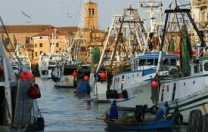L?Italia è la prima potenza peschereccia del Mediterraneo L?Italia è la prima potenza peschereccia del Mediterraneo