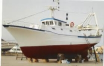 Inaccettabili le nuove norme sulla pesca del tonno Inaccettabili le nuove norme sulla pesca del tonno