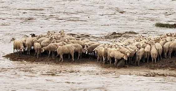 Emergenza Alluvione, Fondo speciale di Legacoop Sardegna