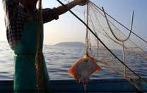 Finanziato il Gruppo Azione Costiera ?Sardegna Orientale? Finanziato il Gruppo Azione Costiera ?Sardegna Orientale?