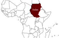 Sudan, tredici donne flagellate perch&egrave; indossavano pantaloni