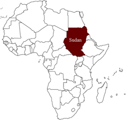 Sudan, tredici donne flagellate perch&egrave; indossavano pantaloni