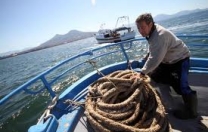 Pesca: settore in crisi, appello del Crel alla Regione Pesca: settore in crisi, appello del Crel alla Regione