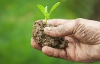 Il bio batte la crisi: consumi su del 7,3%