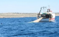 Fermo pesca a strascico dal 15 settembre Fermo pesca a strascico dal 15 settembre
