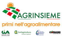Assemblea regionale Associazioni aderenti ad Agrinsieme Assemblea regionale Associazioni aderenti ad Agrinsieme