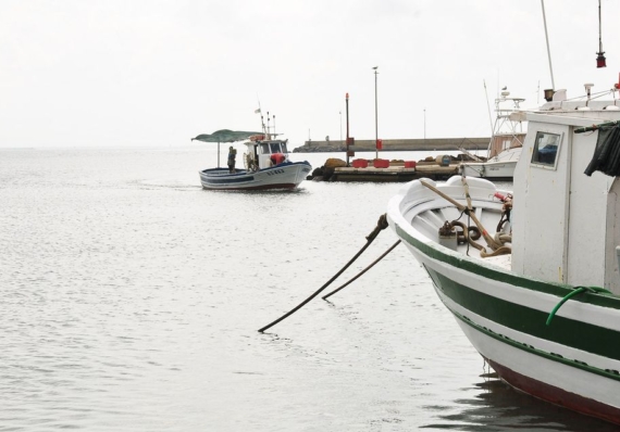 Fondo Europeo per gli Affari Marittimi, la Pesca e l’Acquacoltura (FEAMPA), pubblicati gli avvisi Azione 1, 2 e 3