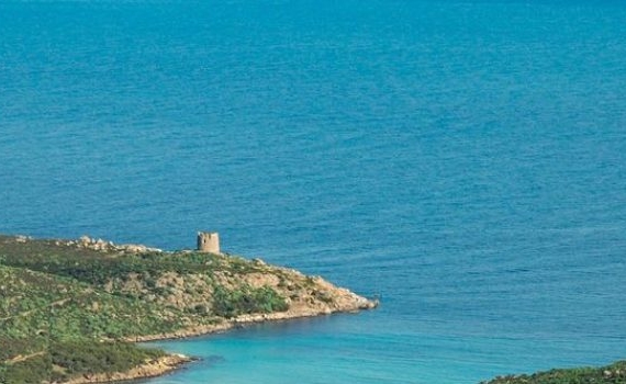 Avviso Pubblico “Progetto isole minori – incentivi per l’avvio di iniziative imprenditoriali in settori strategici di sviluppo locale”